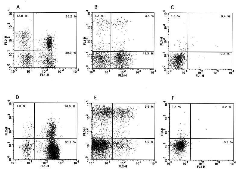 FIG. 5