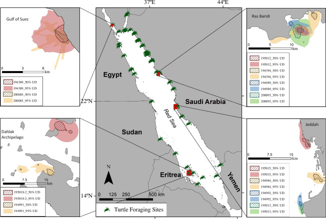 Utilisation distributions (UDs) of some green turtles foraging in the Jeddah Gulf of Suez