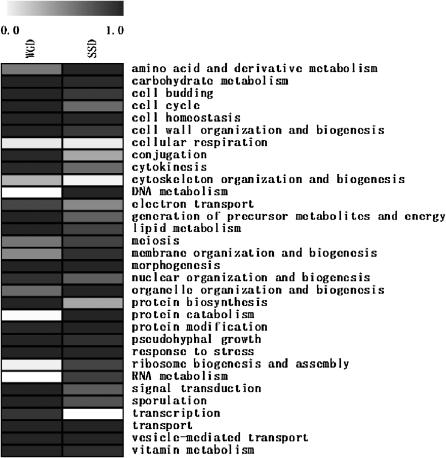 Figure 2.—