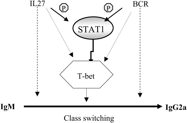 Fig. 7