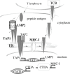 Fig. 6