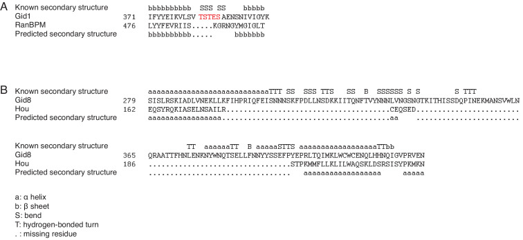 Figure 5—figure supplement 1.