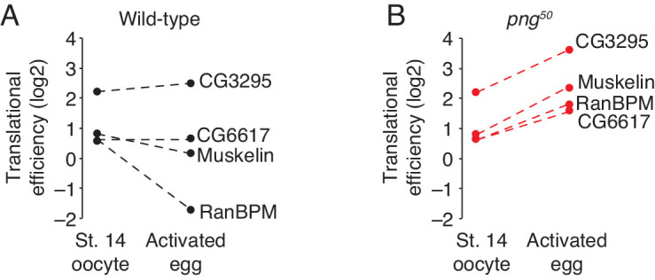 Figure 7—figure supplement 1.