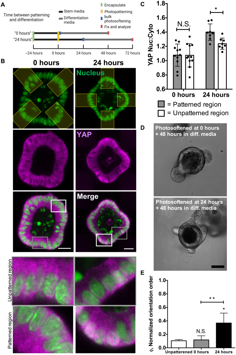 Fig. 6.