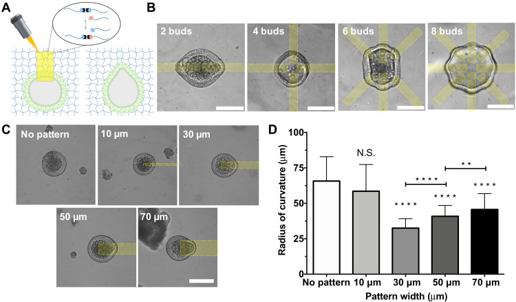 Fig. 3.