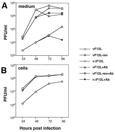 FIG. 6