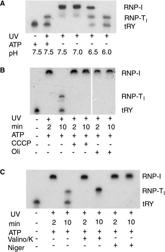 Figure 6.