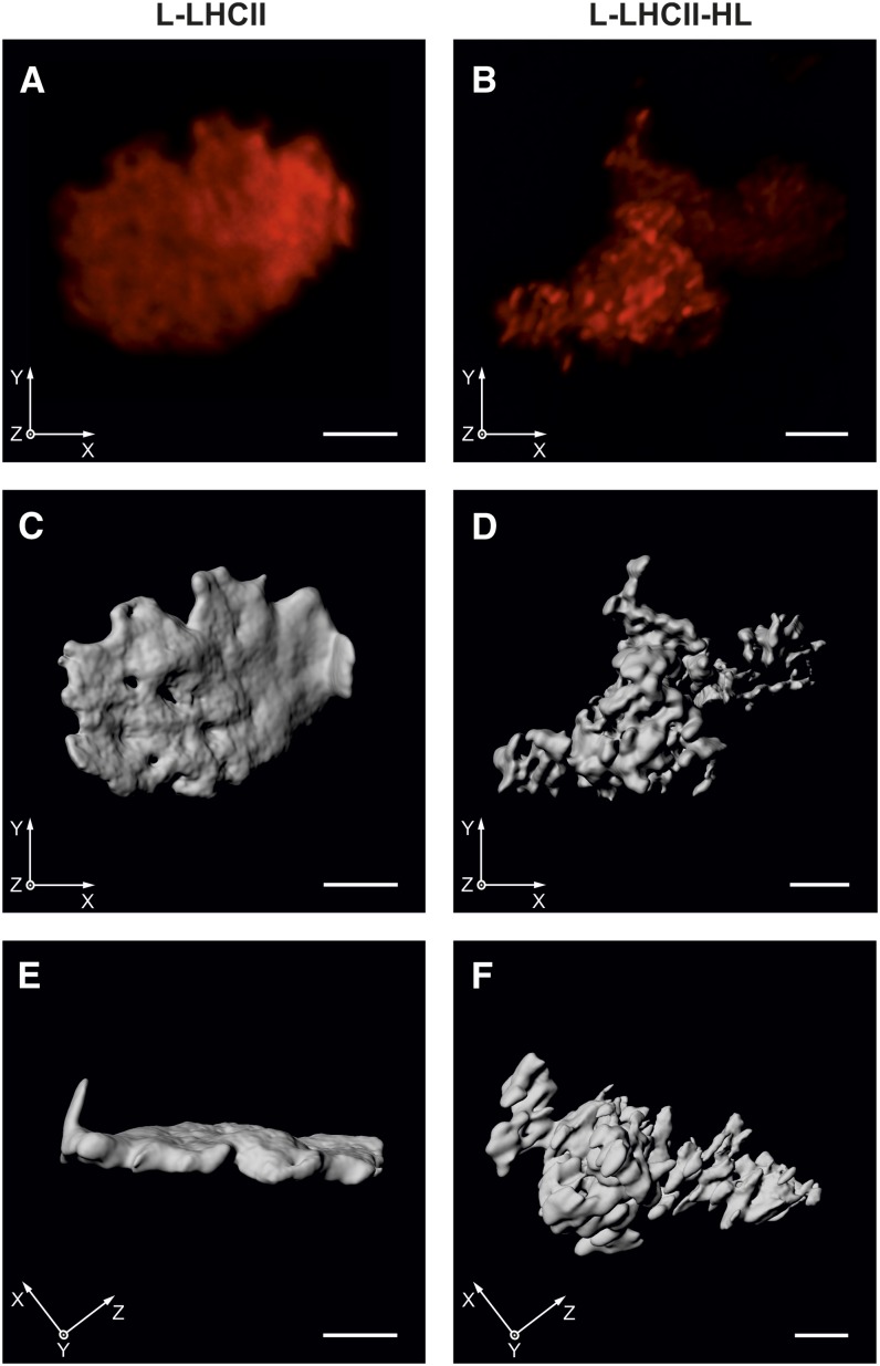 Figure 9.