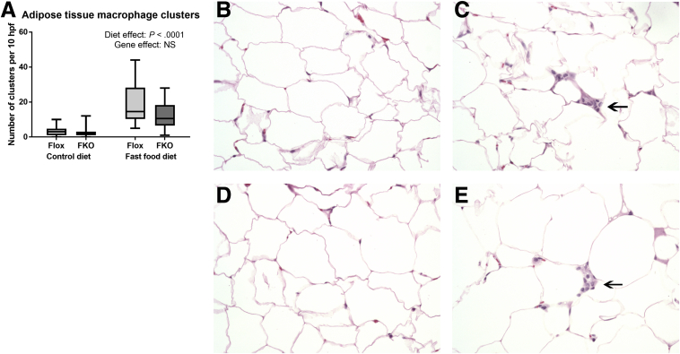 Figure 4