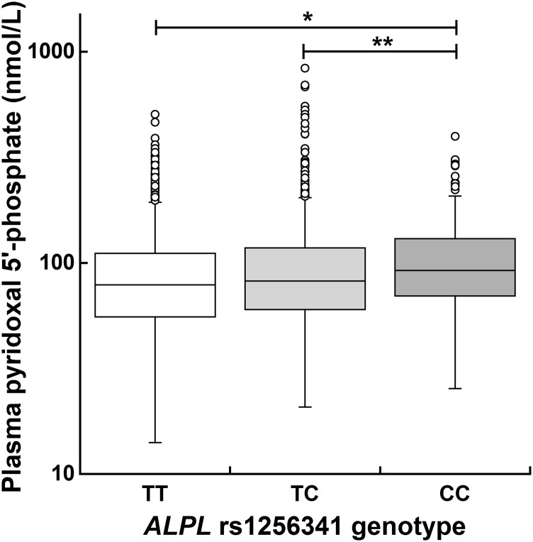 FIGURE 1