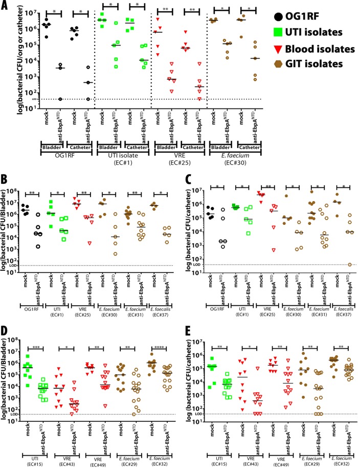 FIG 6 