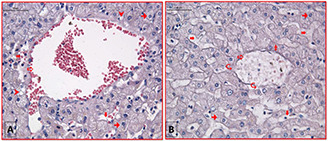 Fig. 10