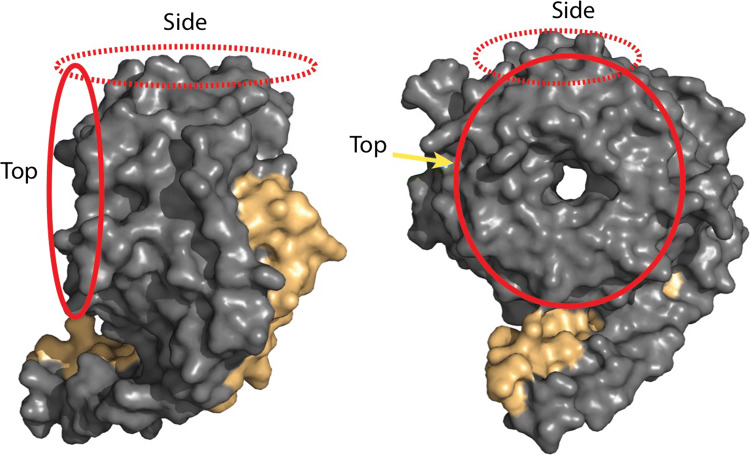 Fig. 2