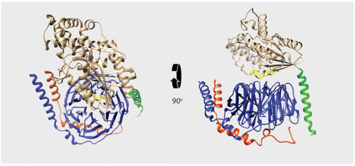 Fig. 1