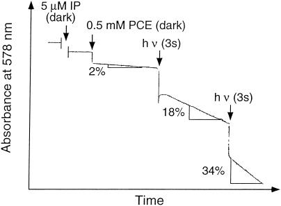 FIG. 5.