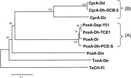 FIG. 7.