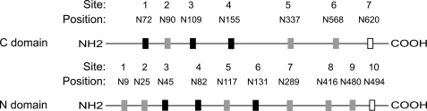 FIGURE 1.