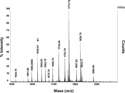 FIGURE 2.