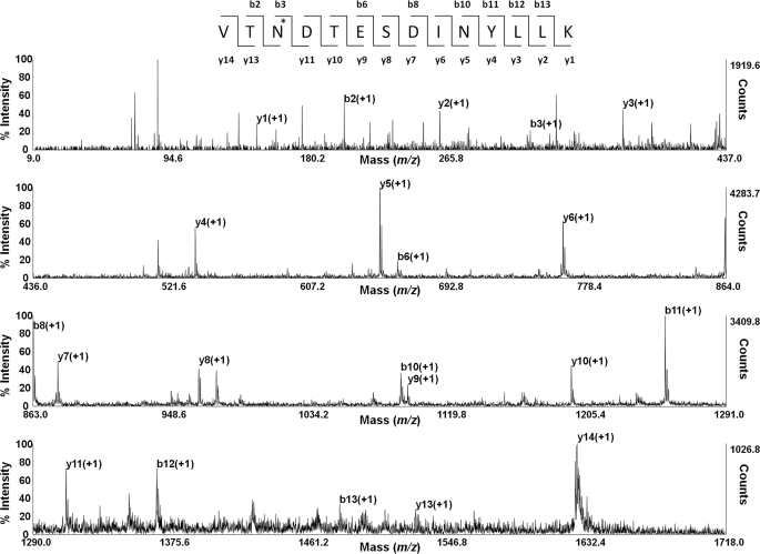 FIGURE 3.