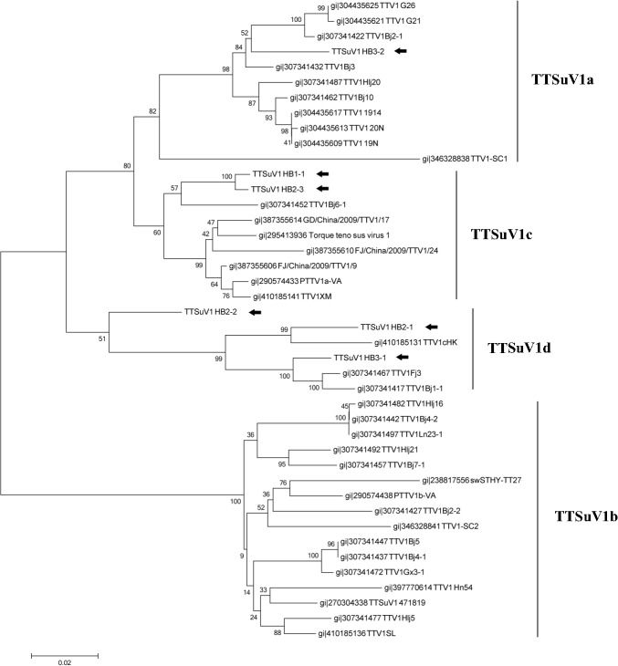 Fig 2