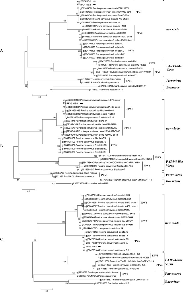 Fig 4