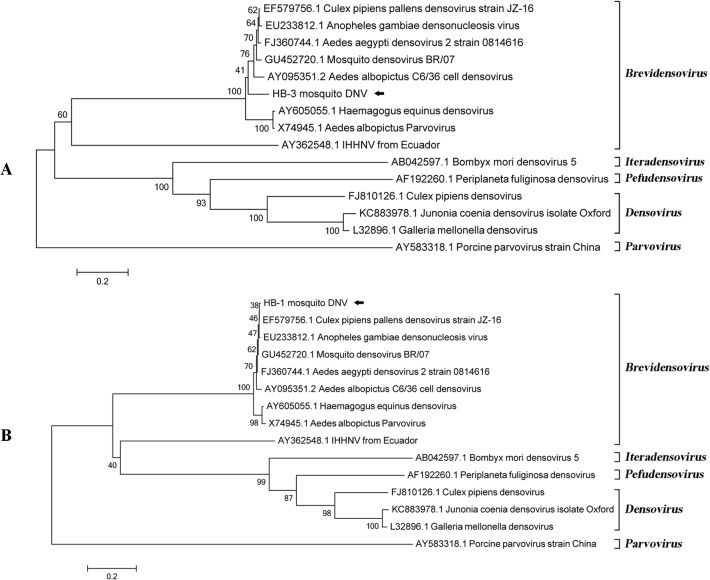 Fig 6