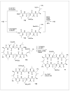 Scheme 15
