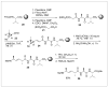 Scheme 2