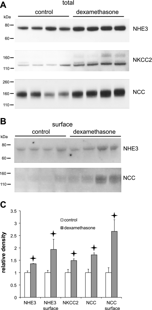 Fig. 5.