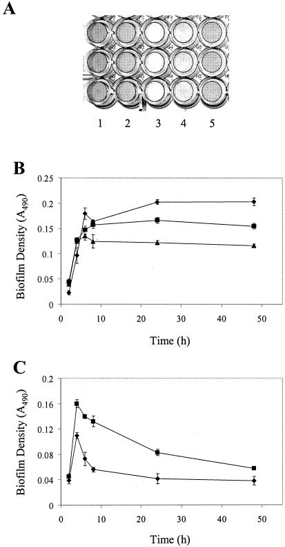 FIG. 3.