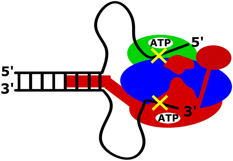 Figure 3.