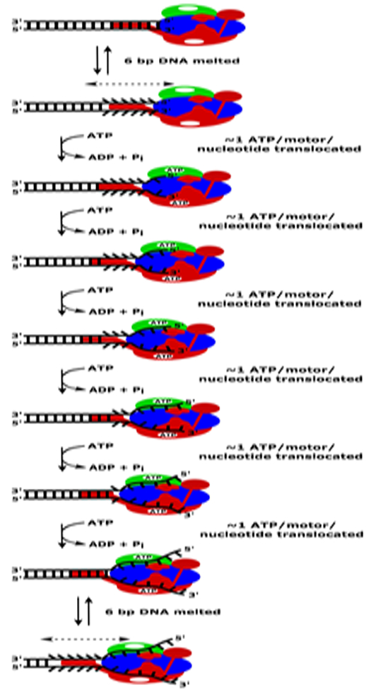 Figure 2.