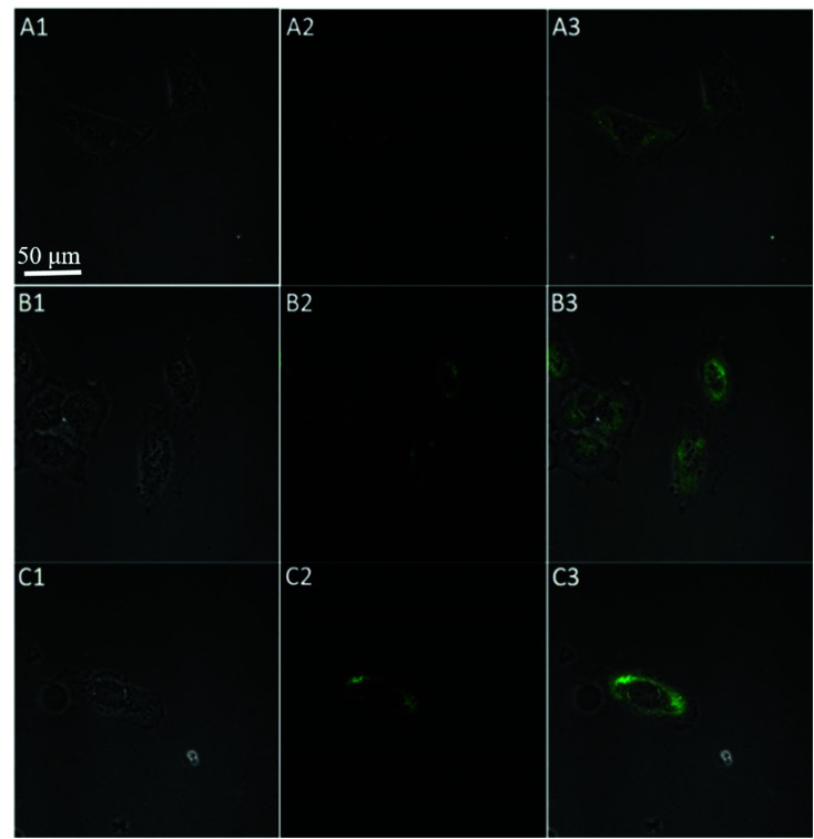 Fig. 8