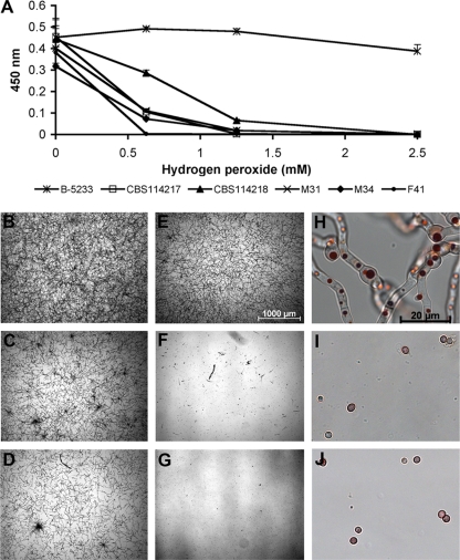 FIG. 7.