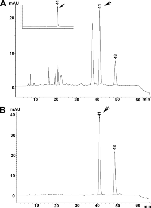 FIG. 8.