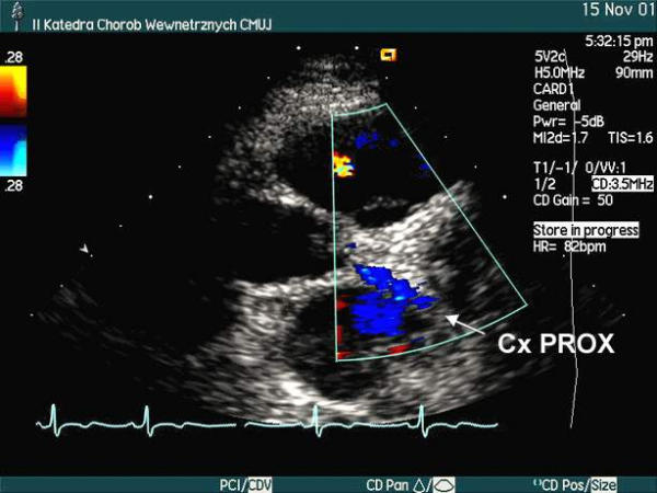 Figure 24