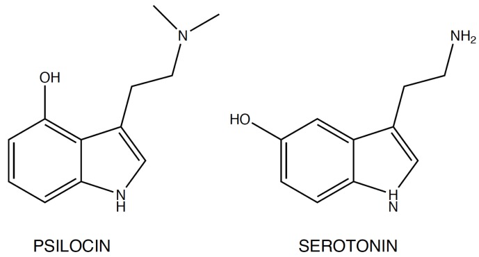 Fig. (2)