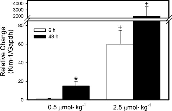 Fig. 8