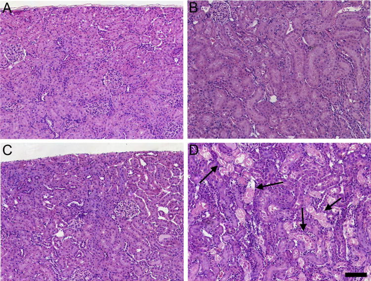 Fig. 9