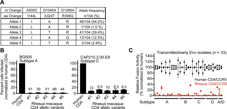 Fig 6