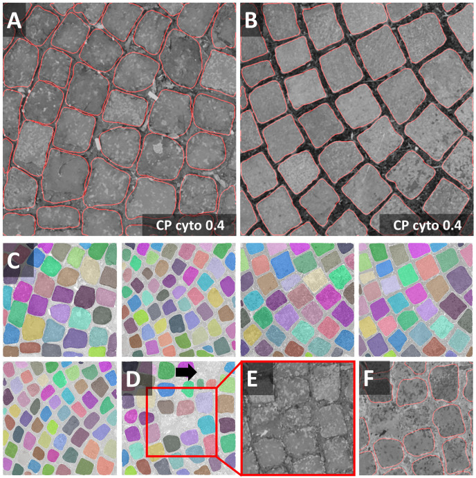 FIGURE 3