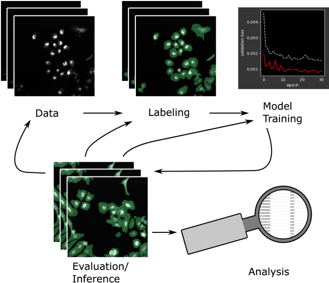 Figure 3