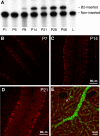 Figure 9.