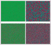 Fig. 4
