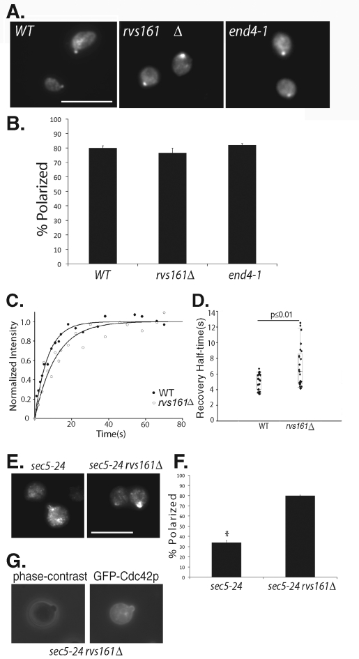 FIGURE 5: