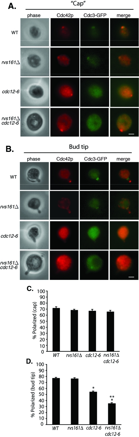 FIGURE 6: