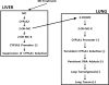 Fig. 11.