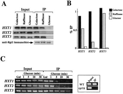 FIG. 8.