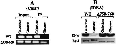 FIG. 10.