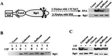 FIG. 9.